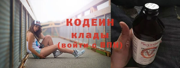 хмурый Алексин