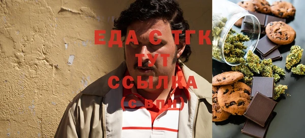 хмурый Алексин