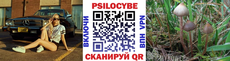 Псилоцибиновые грибы Psilocybine cubensis  Тотьма 